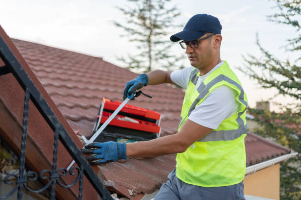 Best Attic Insulation Installation  in Clarksdale, MS